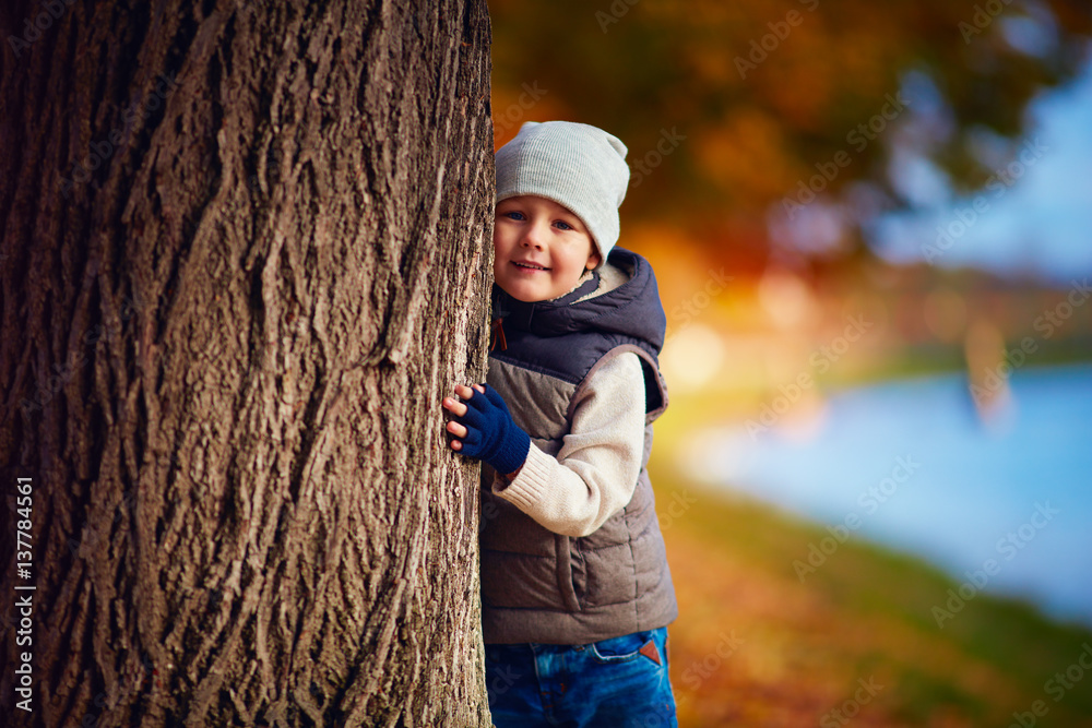 happy young boy having fun in autumn park