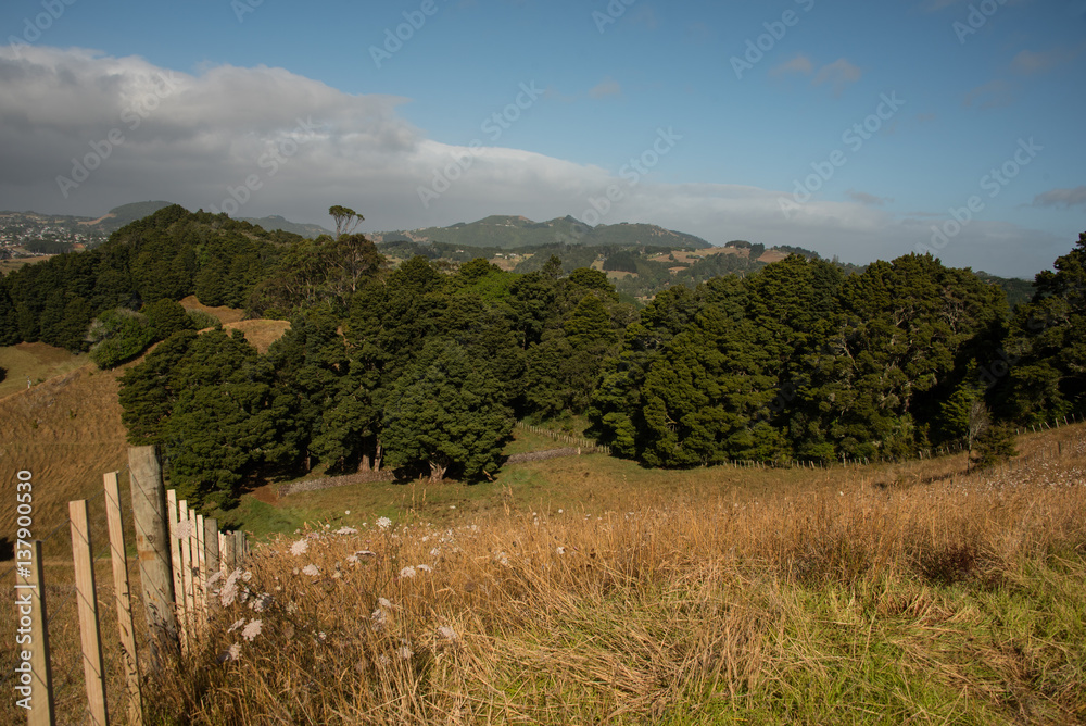 Rural view of Northland, New Zealand with hills and pastures