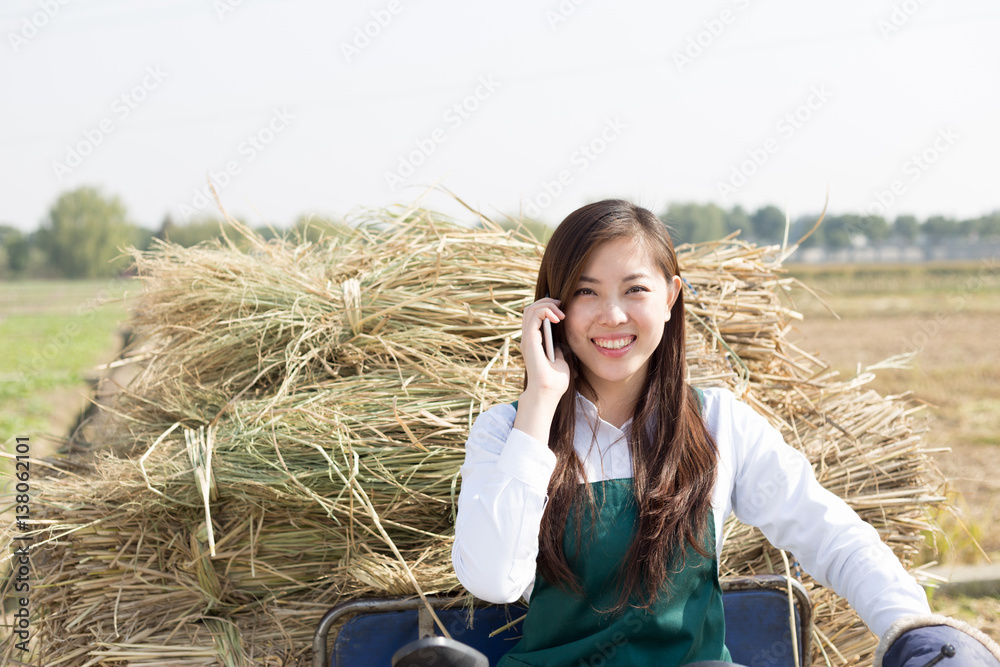 young asian woman agronomist in gold field