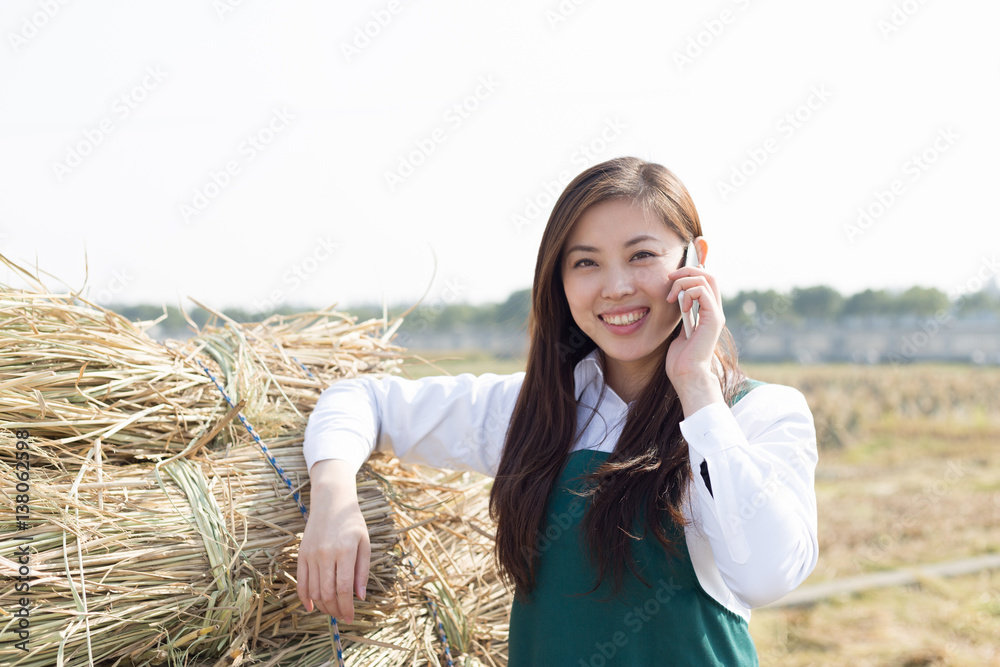 young asian woman agronomist in golden field