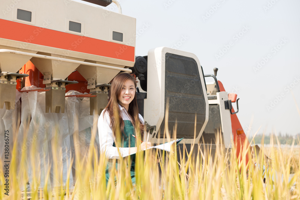 young asian woman agronomist in golden field