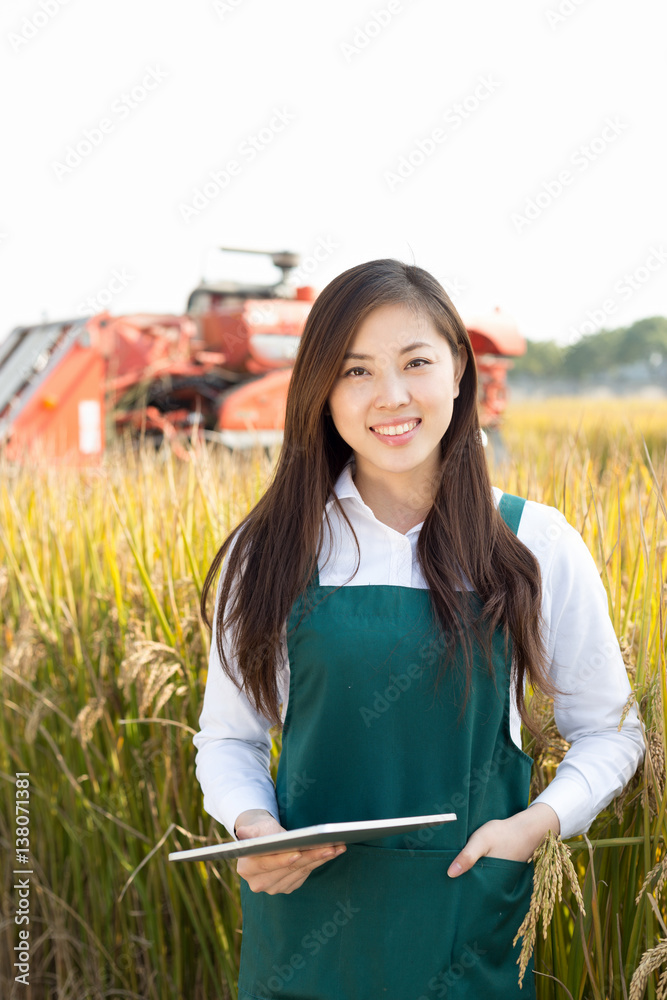 young asian woman agronomist in golden field