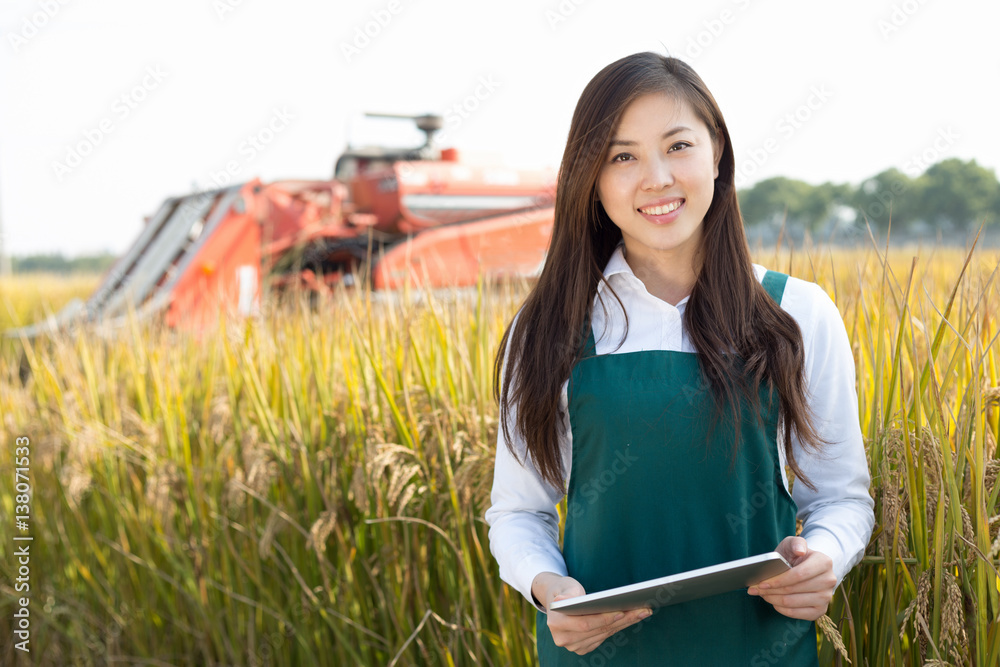 young asian woman agronomist in golden field