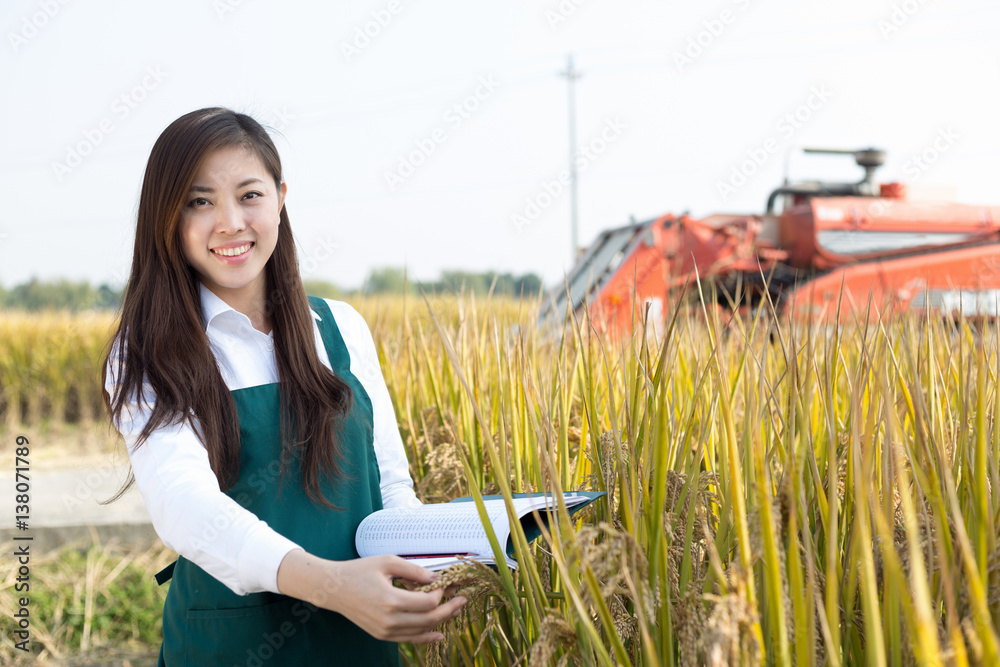 young asian woman agronomist in golden field