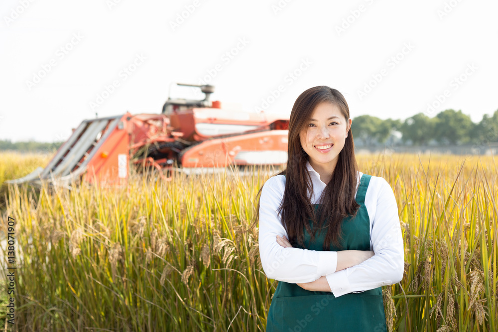 young asian woman agronomist in golden field