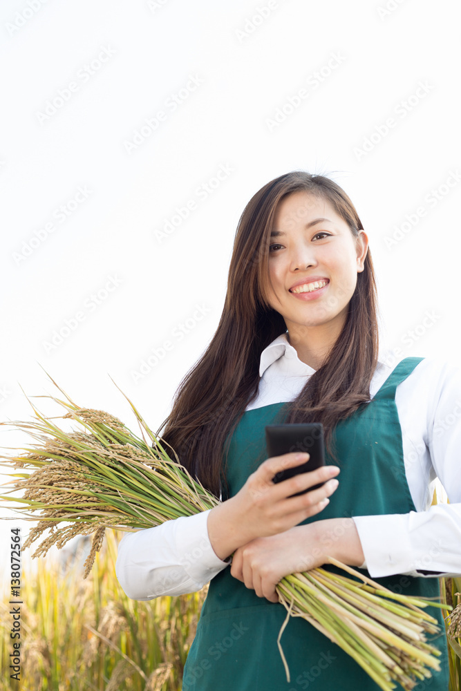 young asian woman agronomist with golden cereal