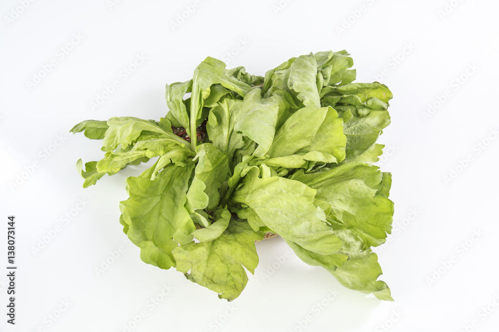 Garland Chrysanthemum isolated on white background