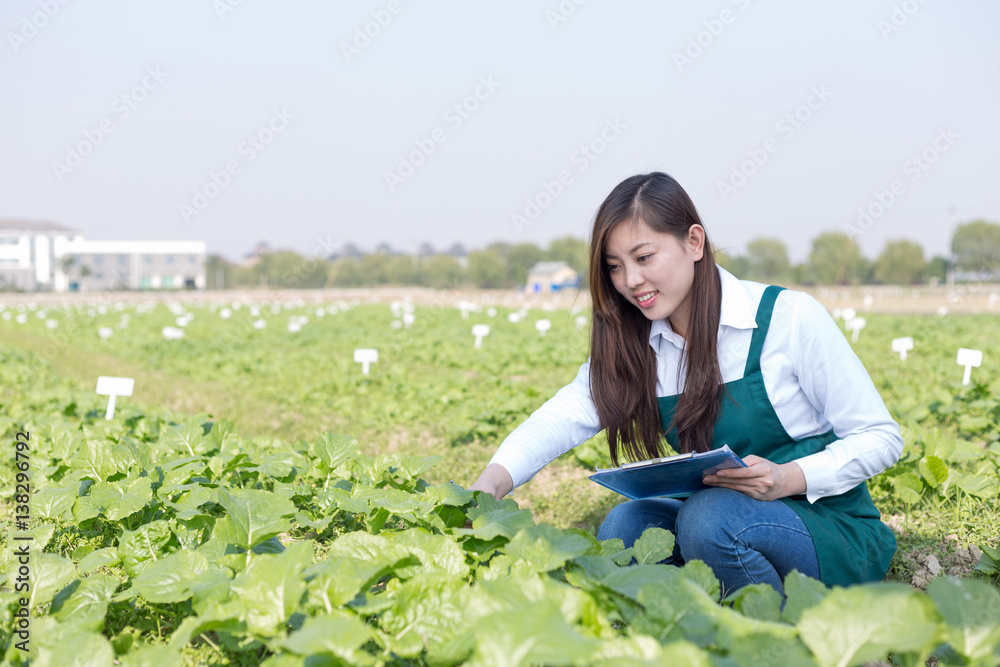 绿色蔬菜地里的年轻亚洲女人