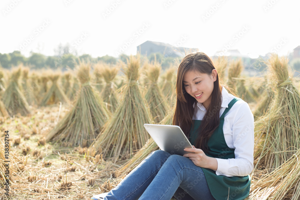 yound asian woman in golden cereal field