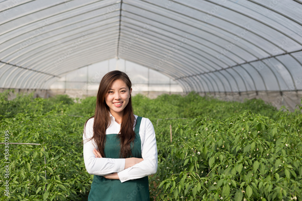 在温室工作的年轻亚洲女性