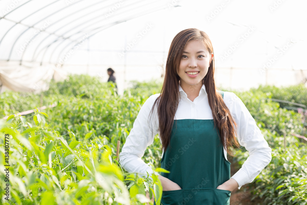 young asian woman working in green house