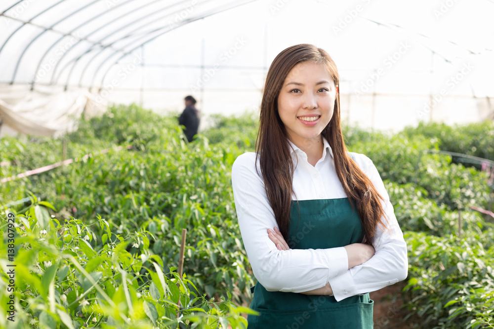 young asian woman working in green house