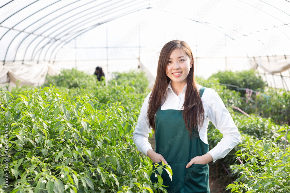 在温室工作的亚洲年轻女性