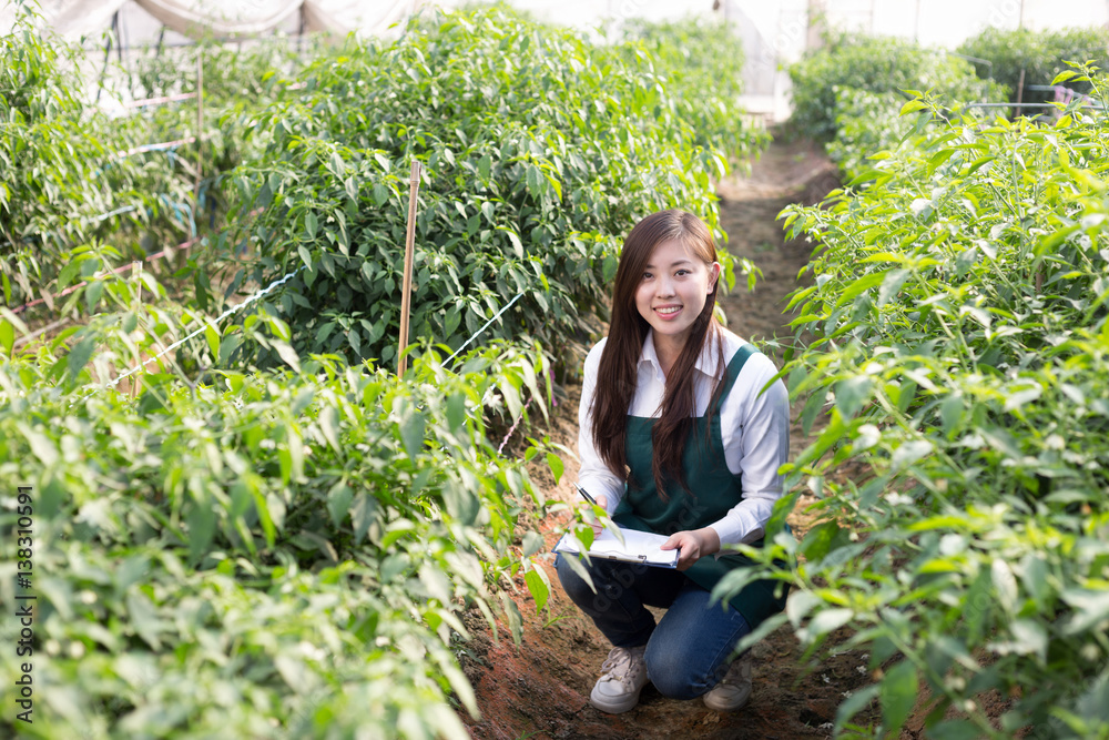 在温室工作的年轻亚洲女性