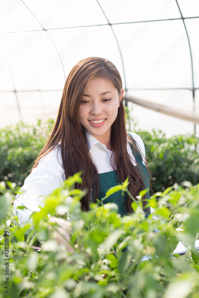 young asian woman working in green house