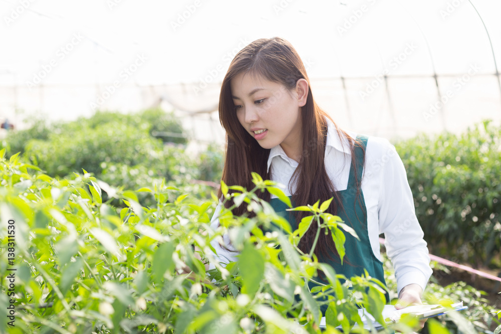 young asian woman working in green house