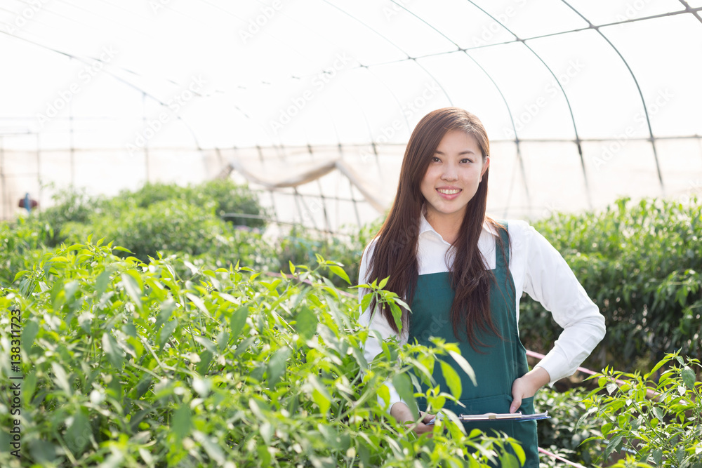 young asian woman working in green house