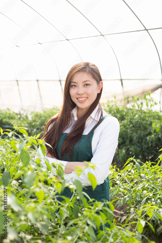 young asian woman working in green house