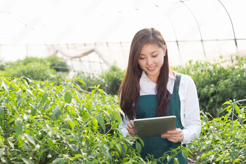 young asian woman working in green house