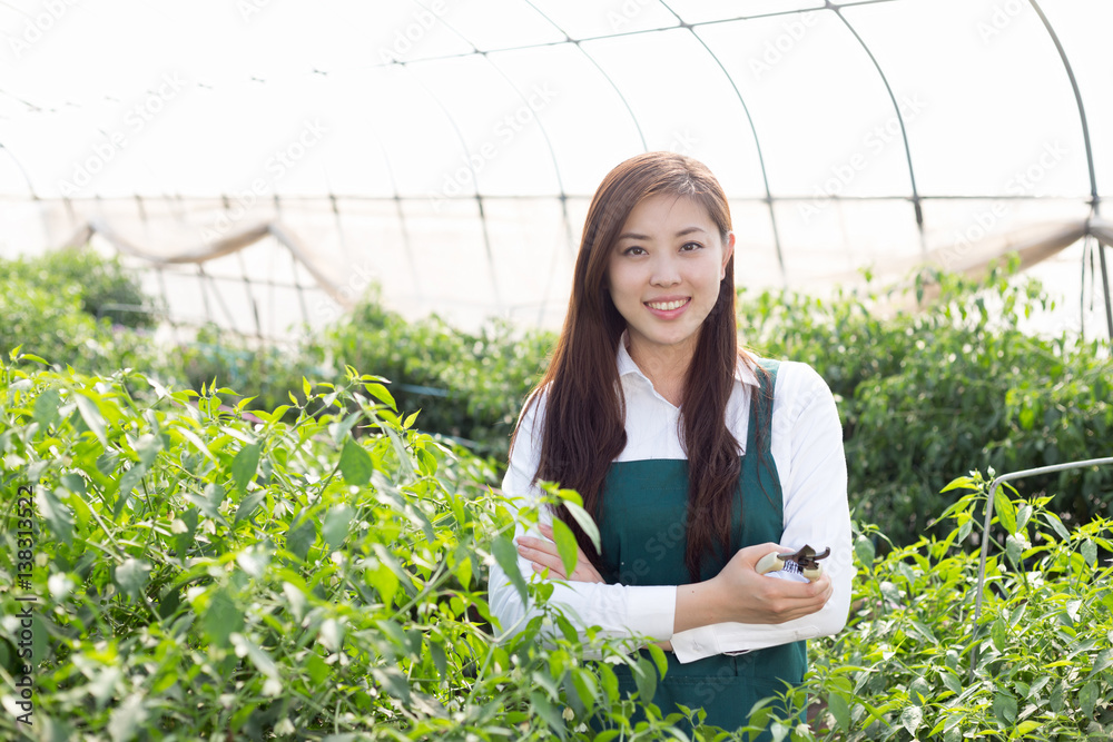 young asian woman working in green house