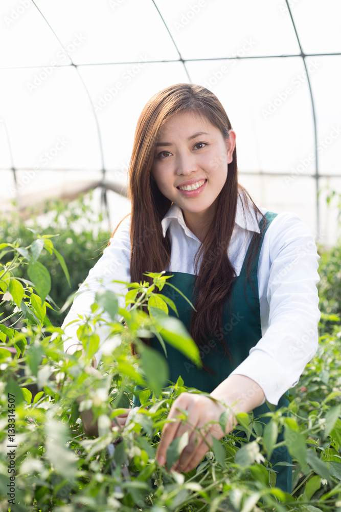 在绿屋工作的亚洲年轻女性