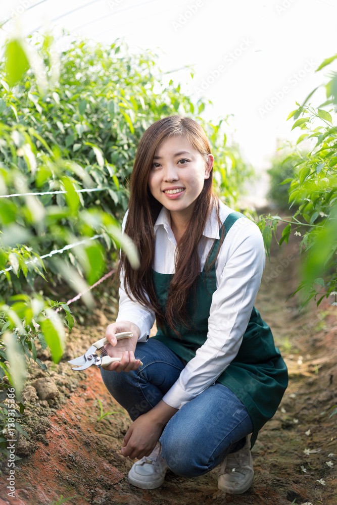 young asian woman working in green house