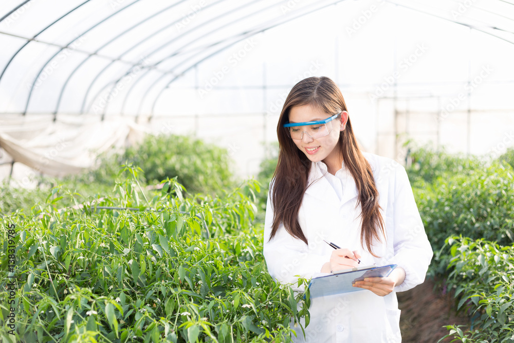 young asian woman working in green house