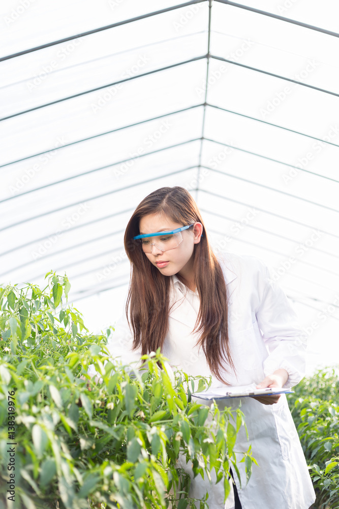 young asian woman working in green house