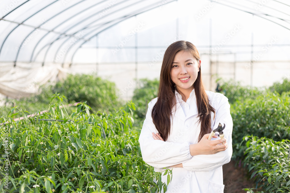 young asian woman working in green house