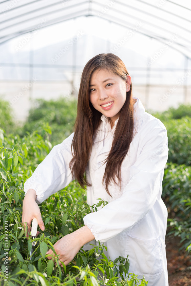 young asian woman working in green house