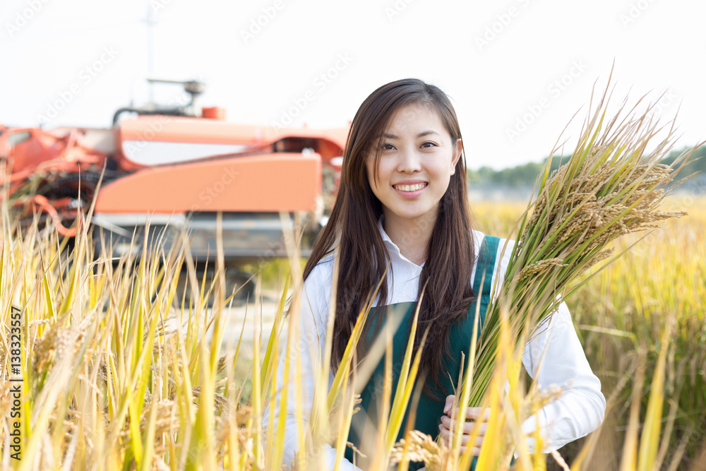 young asian woman in golden cereal field