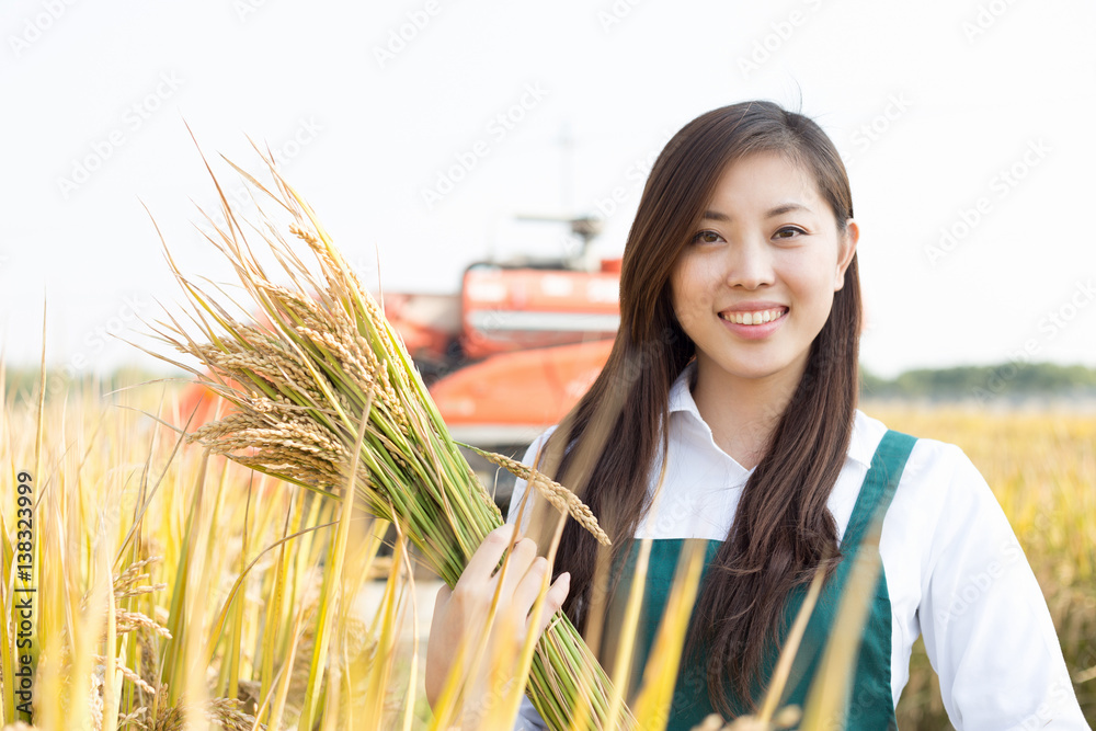 young asian woman in golden cereal field