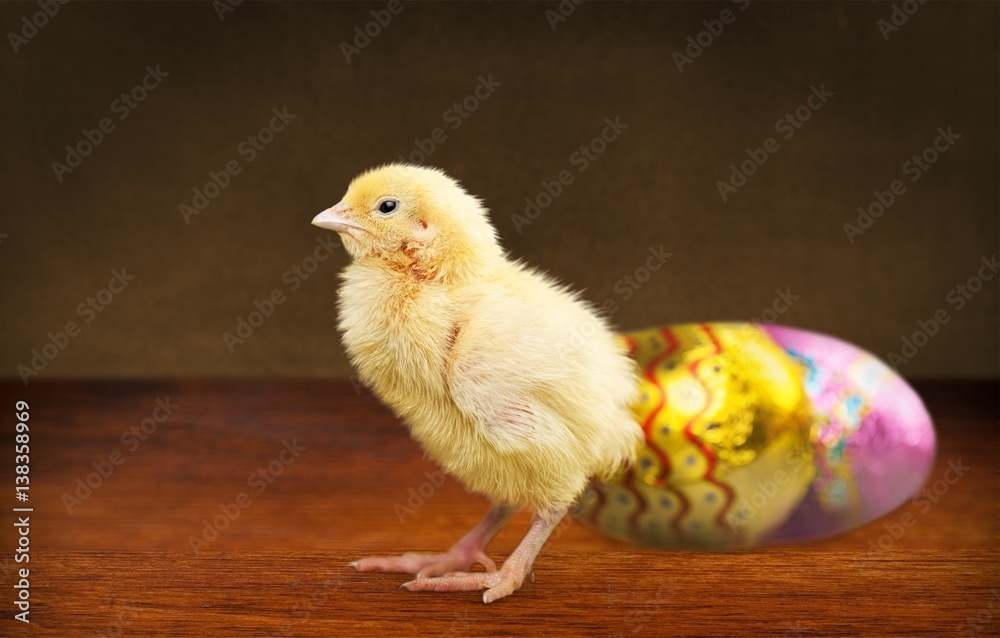 Chick.