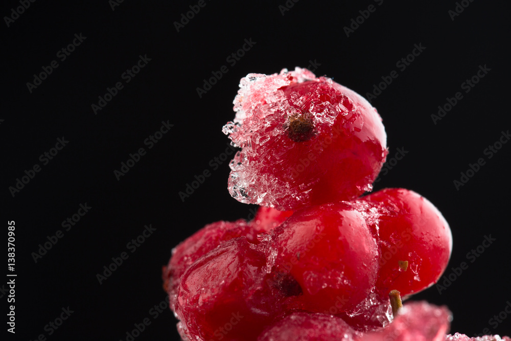 frozen berries red currant, macro