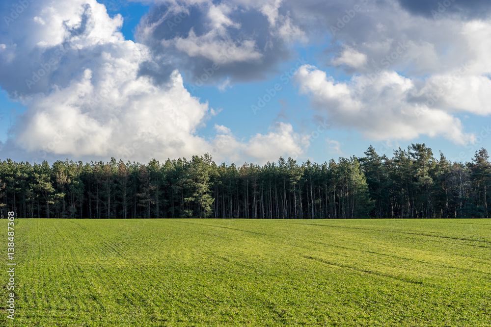 Wald, Himmel und Feld