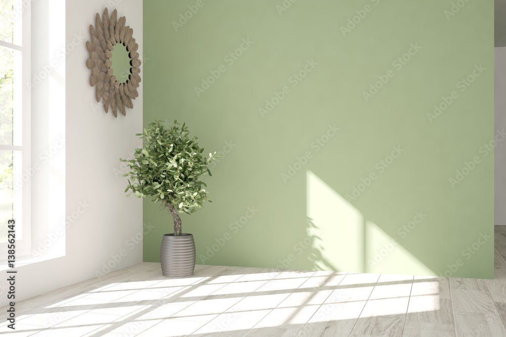 Green empty room with flower. Scandinavian interior design