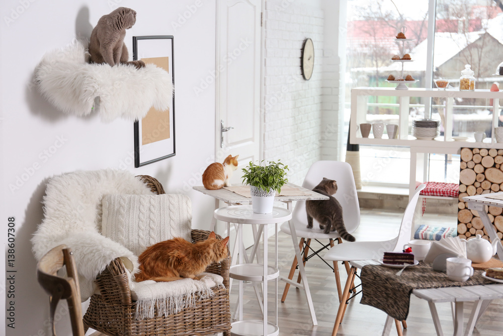 Beautiful interior of modern cat cafe