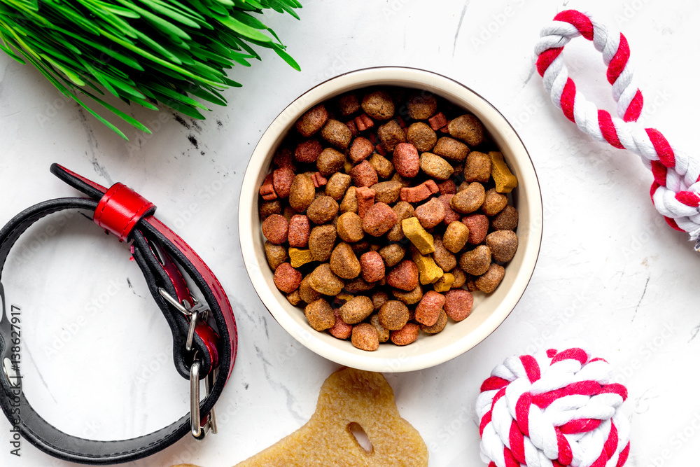 dry dog food in bowl on stone background top view