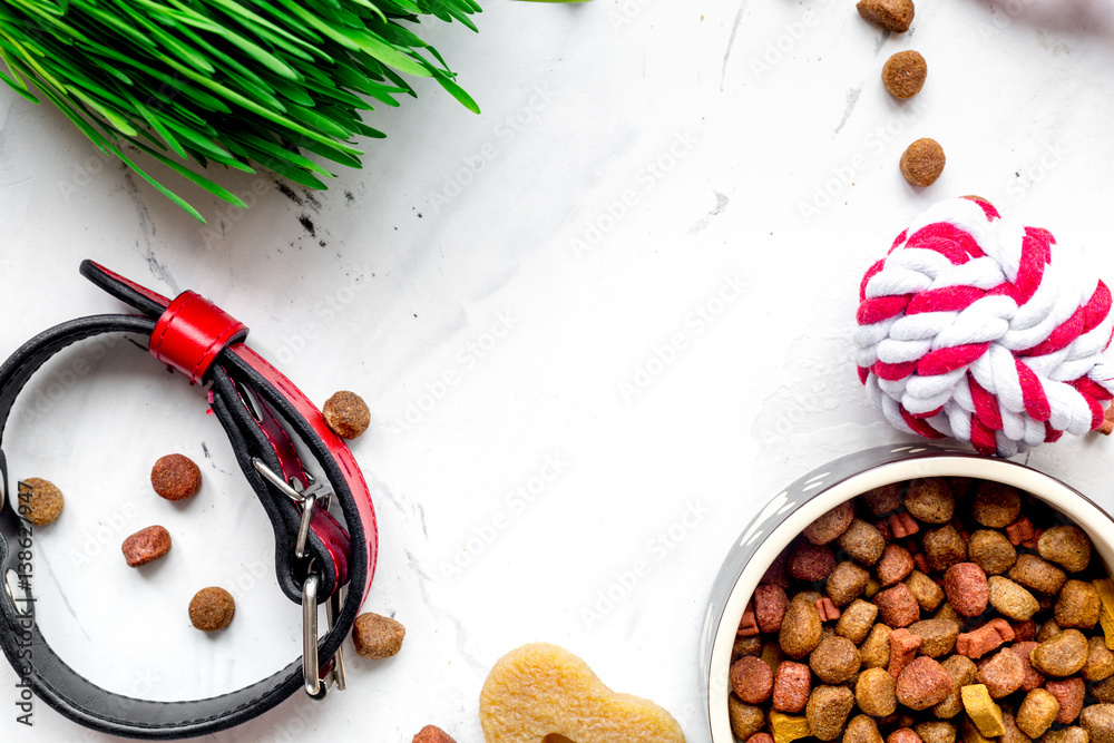 dry dog food in bowl on stone background top view