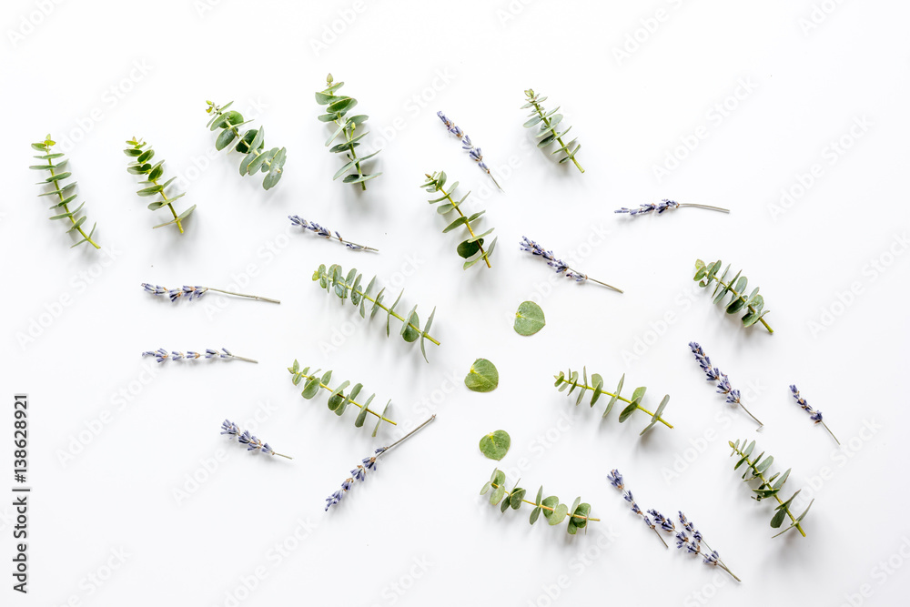 lavander and eucalyptus pattern on white background top view