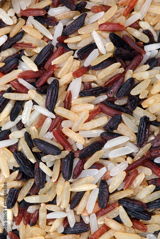 rice grain multicolor background