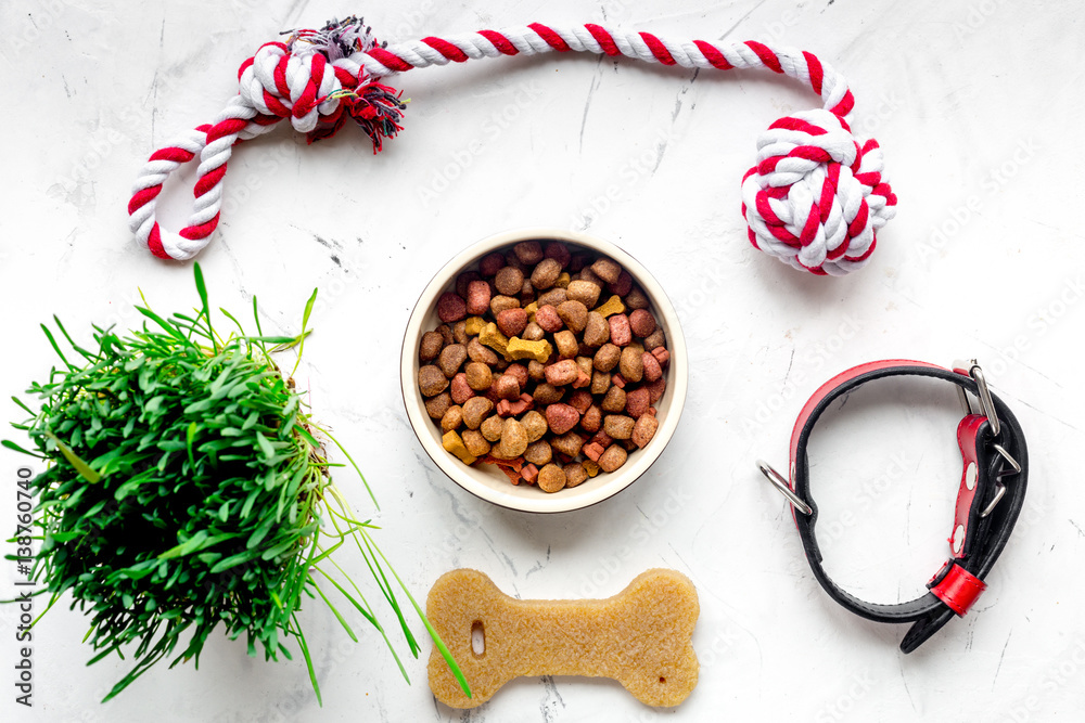 dry dog food in bowl on stone background top view