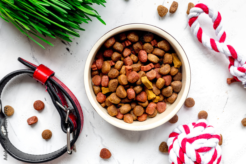 dry dog food in bowl on stone background top view