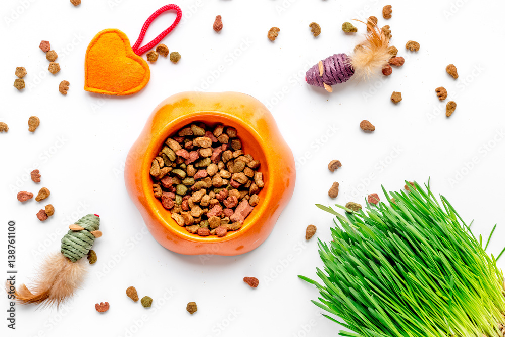 dry cat food in bowl on white background top view