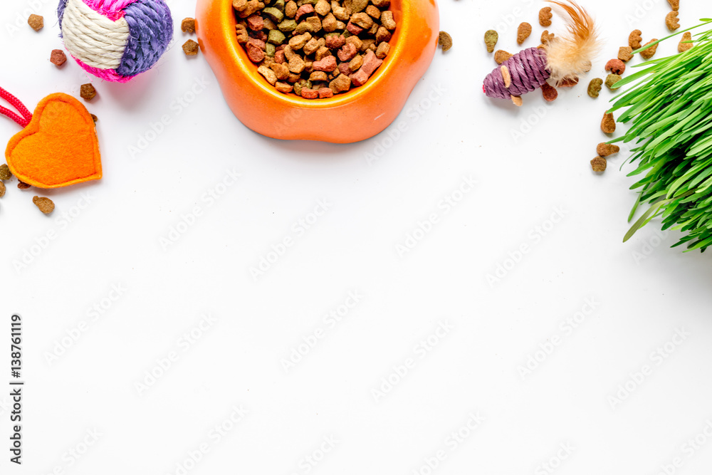 dry cat food in bowl on white background top view