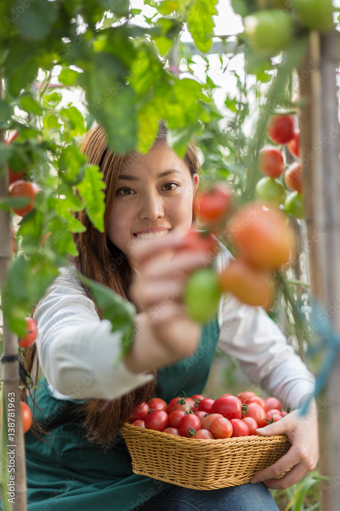 young beautiful asian woman works in green field