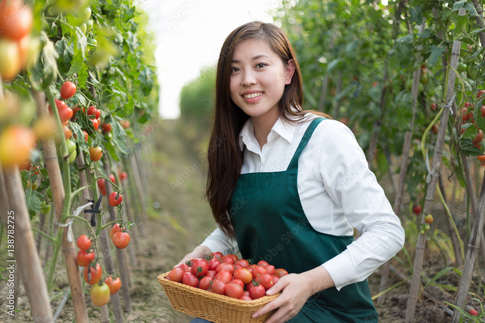 young beautiful asian woman works in green field