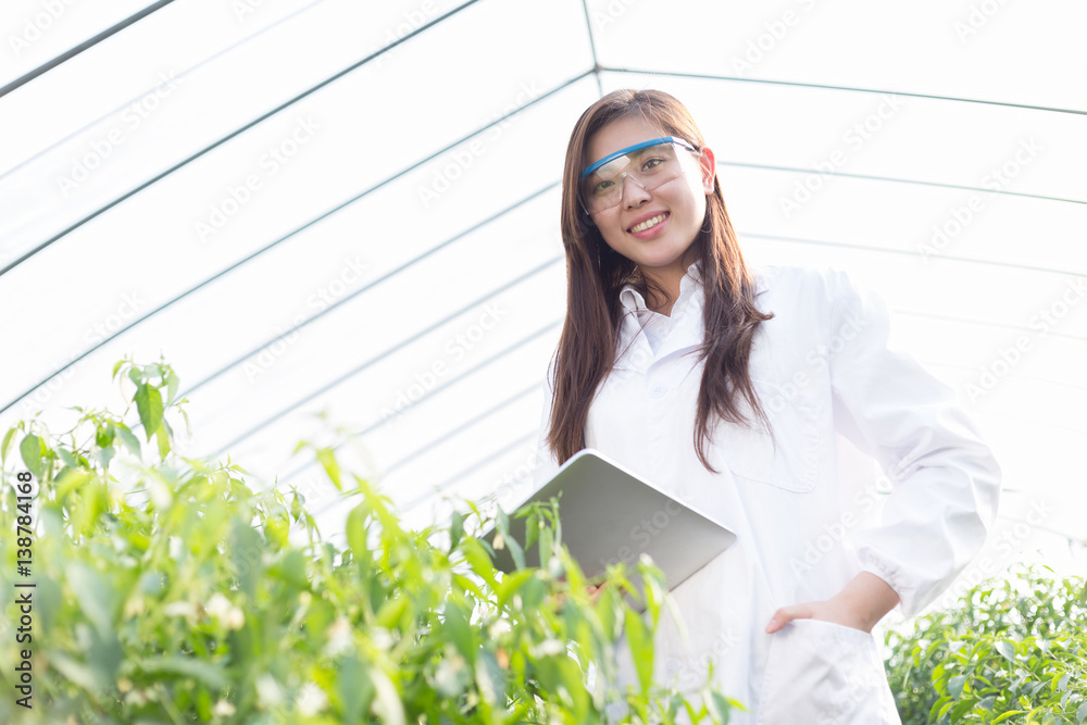 young beautiful asian woman works in green field