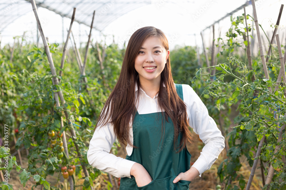 young beautiful asian woman works in green field