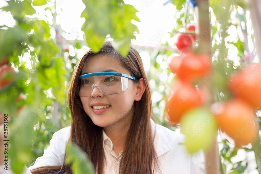 young beautiful asian woman works in green field